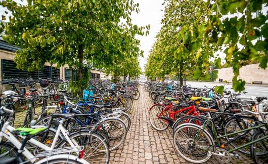 copenhagen bike storage path